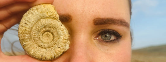 The Origins of Ammonite