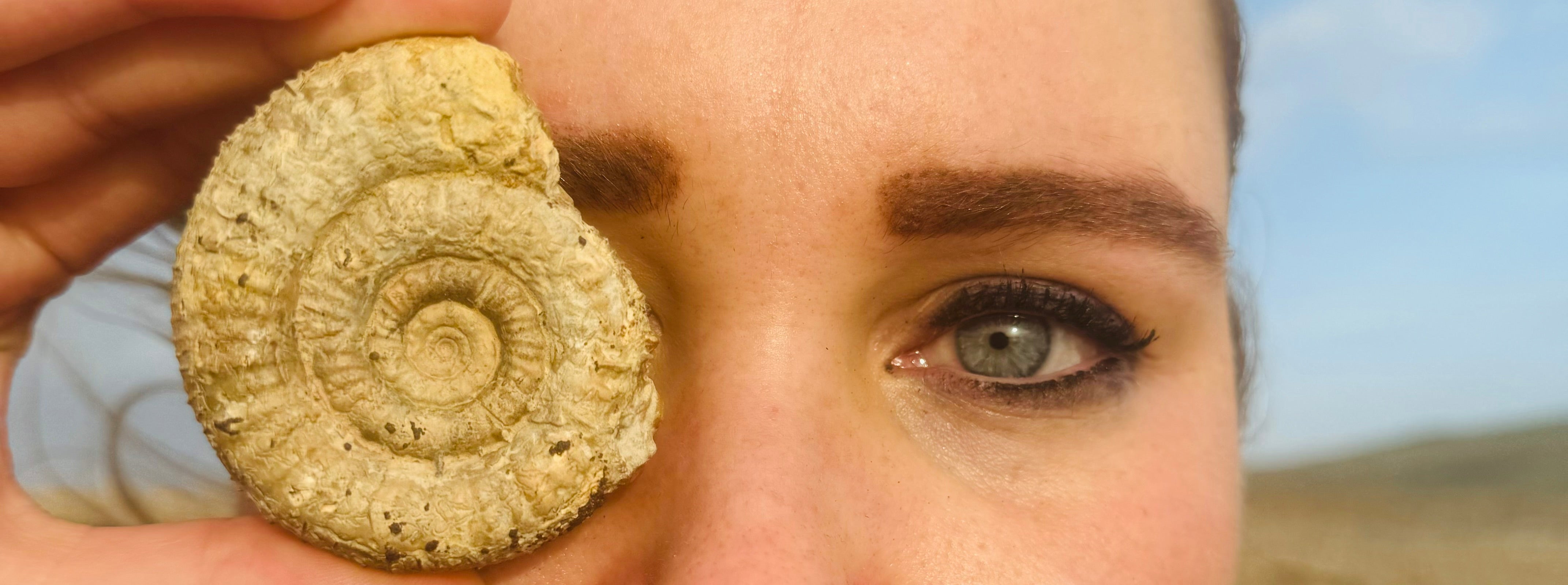 The Origins of Ammonite