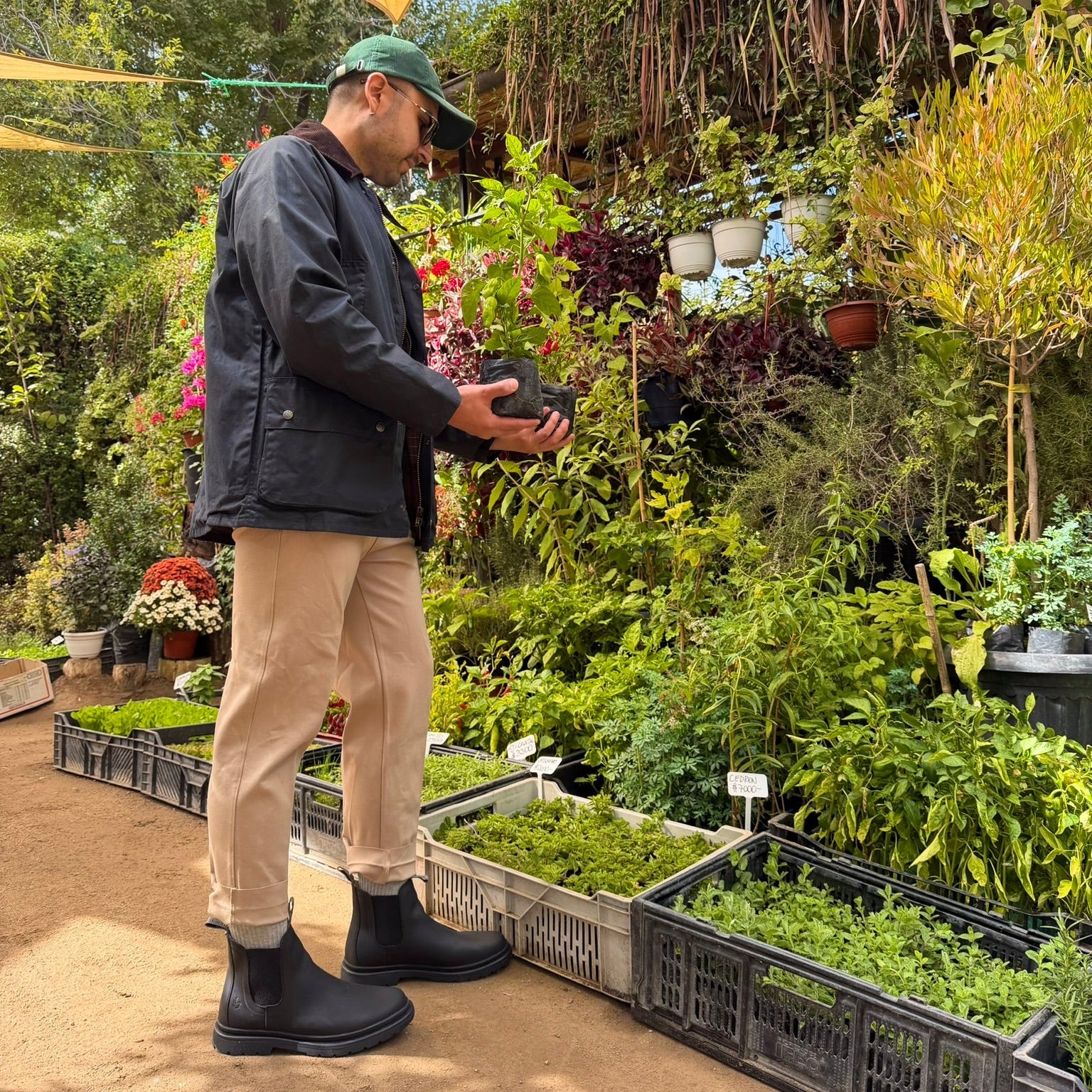 Person standing in a garden holding a plant, wearing black chelsea boots
