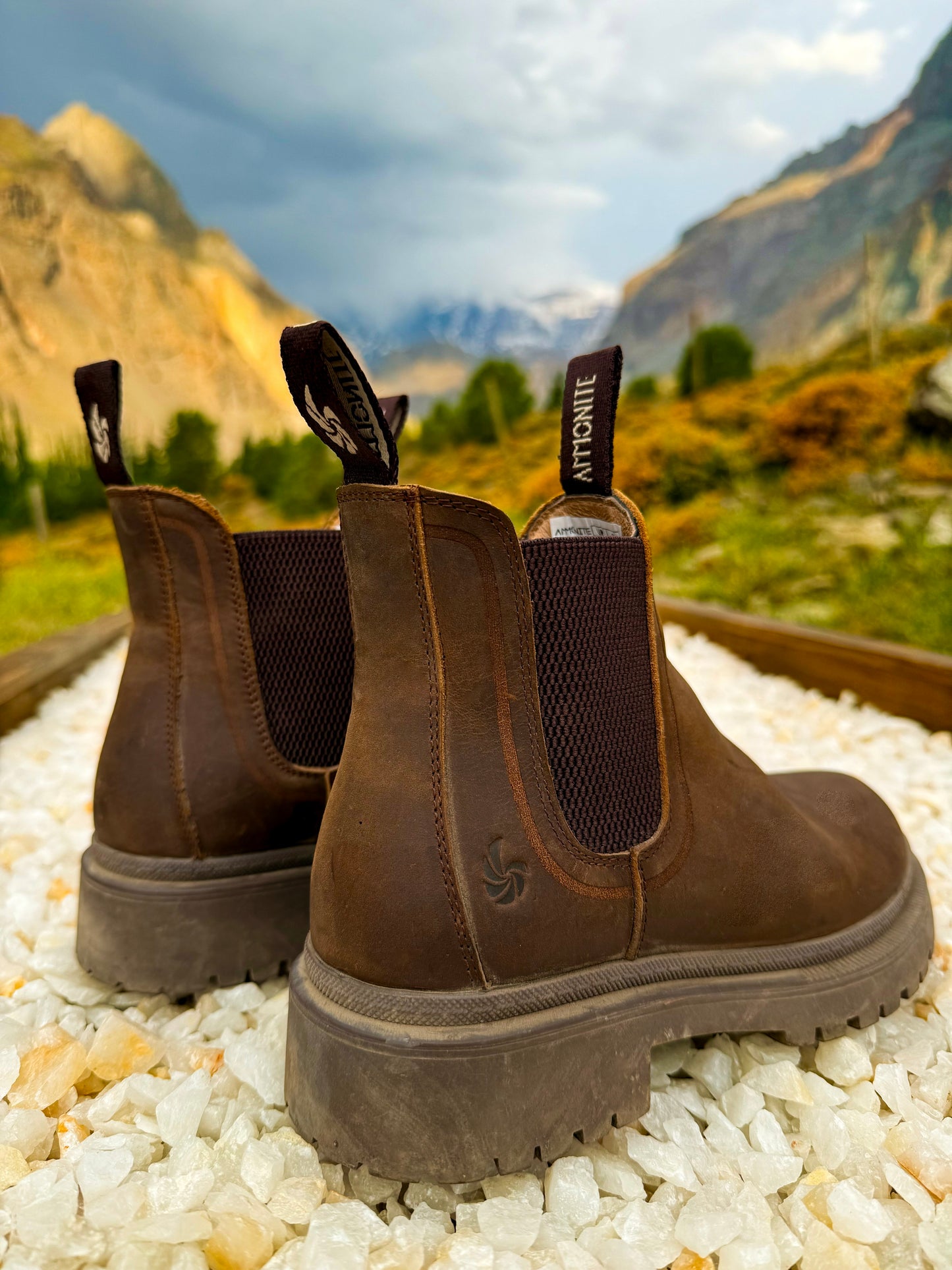 Women's Water-Resistant Chelsea Boots | Charmouth Brown